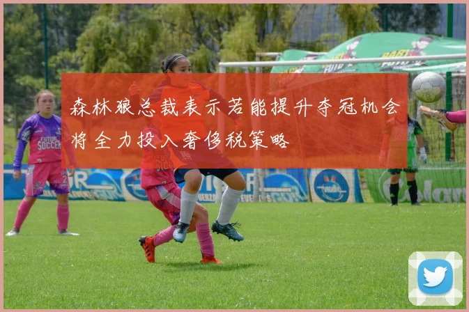 森林狼总裁表示若能提升夺冠机会将全力投入奢侈税策略