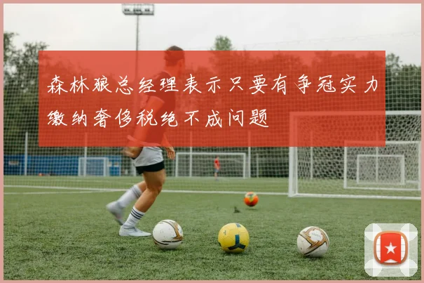 森林狼总经理表示只要有争冠实力缴纳奢侈税绝不成问题